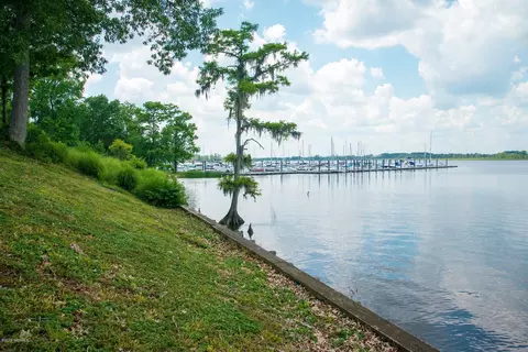 117 Pamlico Ln, Chocowinity, NC 27817 photo 6