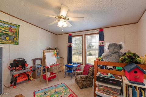 413 Davis Rd, Richlands, NC 28574 photo 11
