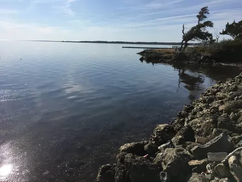 496 Seashore Dr, Atlantic, NC 28511 photo 11