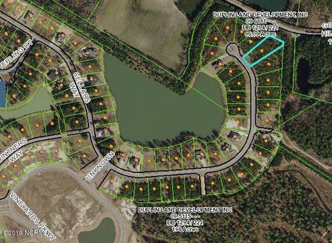 320 Cellars Way, Wallace, NC 28466 photo 1