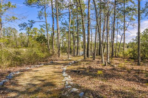 75 Sea View Ct, Bath, NC 27808 photo 12