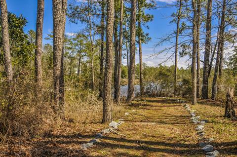 75 Sea View Ct, Bath, NC 27808 photo 11