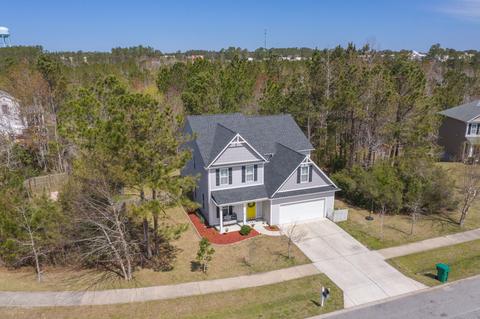 110 Bunchberry Ct, Hampstead, NC 28443 photo 2