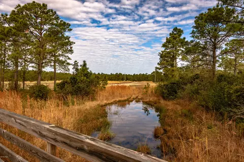 410 Elgin Rd, Hubert, NC 28539 photo 39