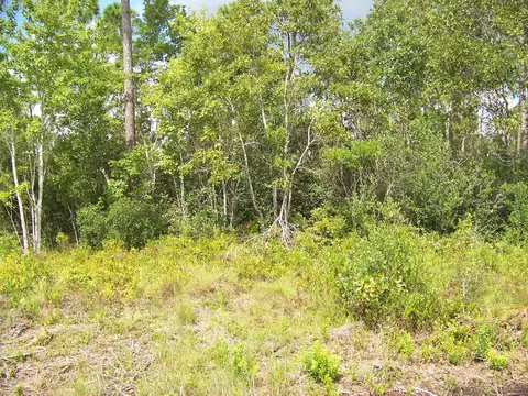 281 Masters Dr, Boiling Spring Lakes, NC 28461 photo 1