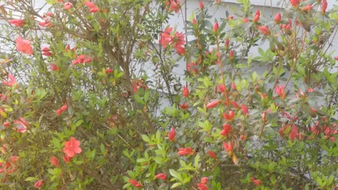 53 A Gentry Cv, New Bern, NC 28562 photo 36