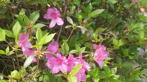 53 A Gentry Cv, New Bern, NC 28562 photo 34