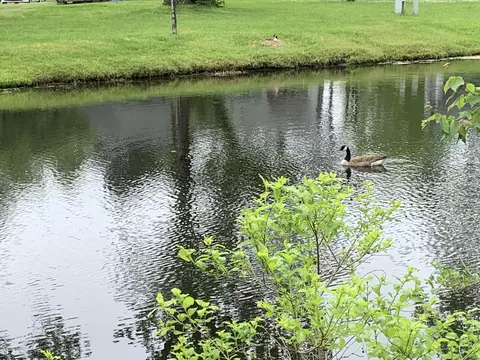 53 A Gentry Cv, New Bern, NC 28562 photo 32