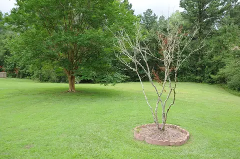 121 Boleyn Loop, New Bern, NC 28562 photo 53