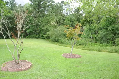 121 Boleyn Loop, New Bern, NC 28562 photo 52