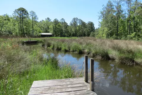 185 Cedar Dr, Oriental, NC 28571 photo 9