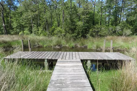 185 Cedar Dr, Oriental, NC 28571 photo 8