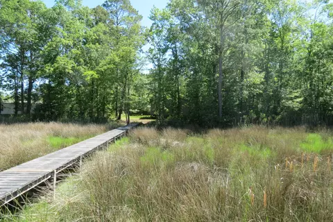 185 Cedar Dr, Oriental, NC 28571 photo 11