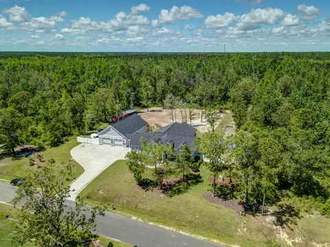 220 Orchard Mill Rd, Hampstead, NC 28443 photo 6
