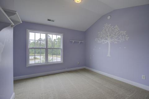 201 Thistle Ct, Maple Hill, NC 28454 photo 21