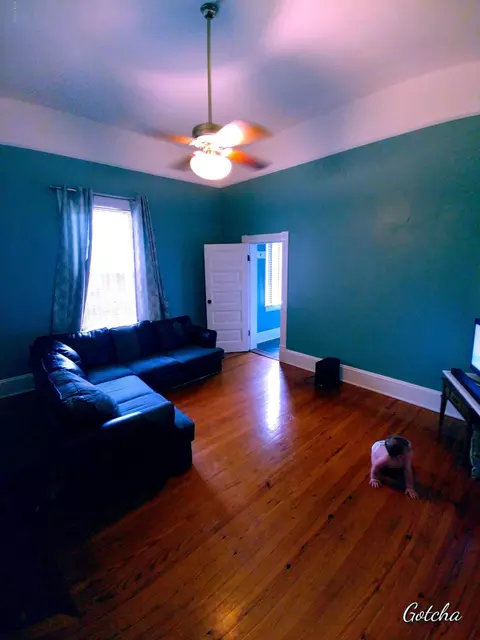 317 E Nash St, Spring Hope, NC 27882 photo 10