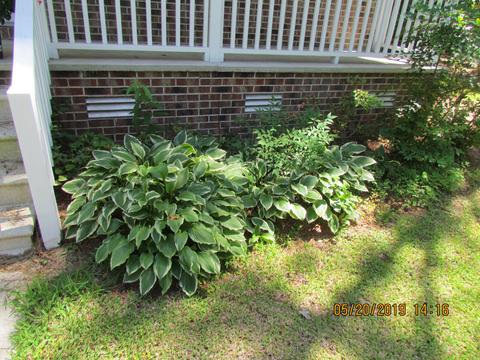 732 Straits Rd, Gloucester, NC 28528 photo 11