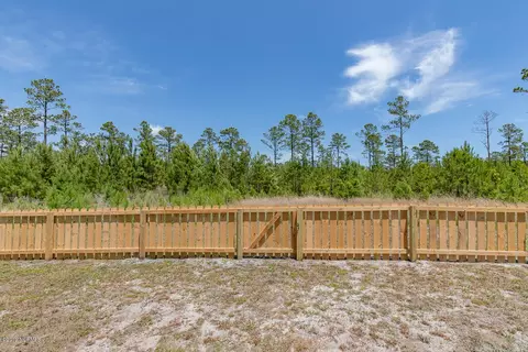 312 Basil Ct, Hubert, NC 28539 photo 41