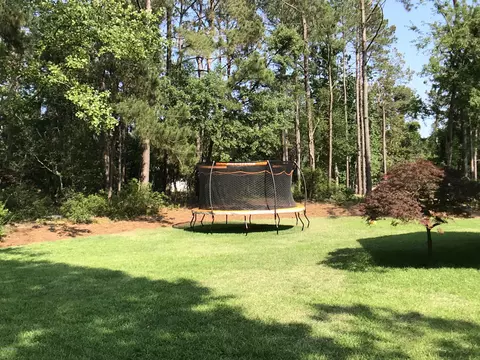 555 Button Bush Ln, Hampstead, NC 28443 photo 10