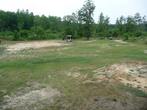 14101 Quicktown Rd, Gibson, NC 28343 photo 9