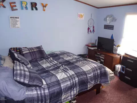 14101 Quicktown Rd, Gibson, NC 28343 photo 10