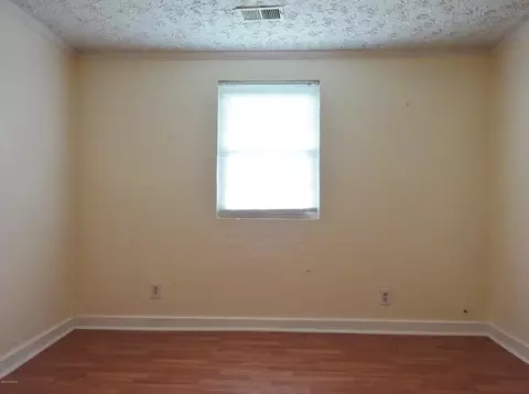 335 Turtle Shell Rd, Richlands, NC 28574 photo 20