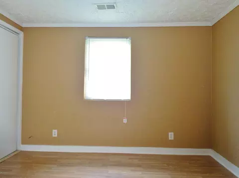 335 Turtle Shell Rd, Richlands, NC 28574 photo 22