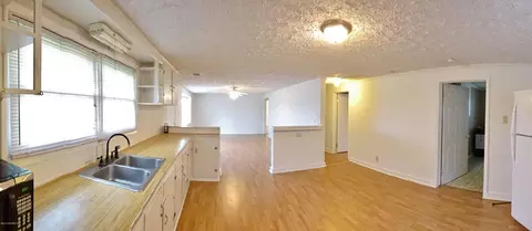 335 Turtle Shell Rd, Richlands, NC 28574 photo 9