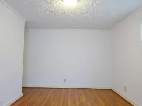 335 Turtle Shell Rd, Richlands, NC 28574 photo 18