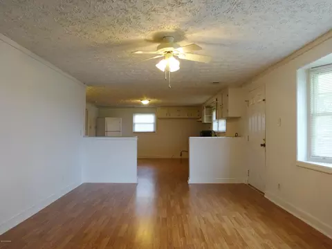 335 Turtle Shell Rd, Richlands, NC 28574 photo 4