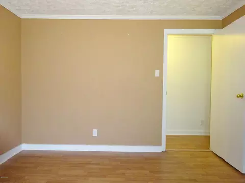 335 Turtle Shell Rd, Richlands, NC 28574 photo 23
