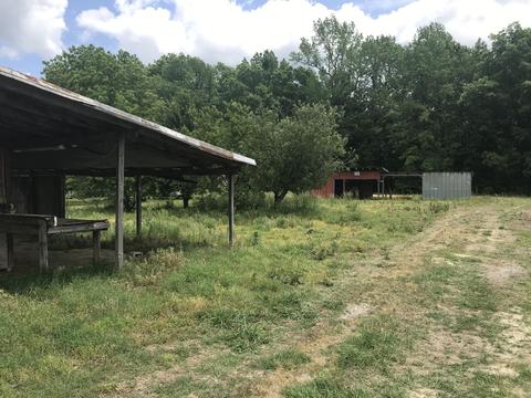 2652 Ballard Rd, Williamston, NC 27892 photo 3