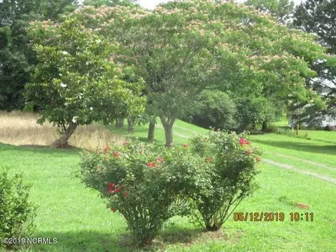 7524 Shallingtons Mill Rd, Macclesfield, NC 27852 photo 20