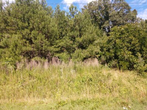 156 Kellumtown Rd, Hubert, NC 28539 photo 2