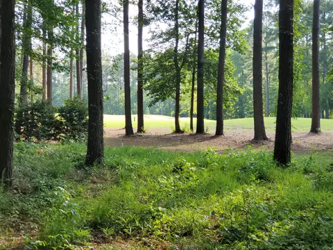 lot126 Santee Dr, Chocowinity, NC 27817 photo 2