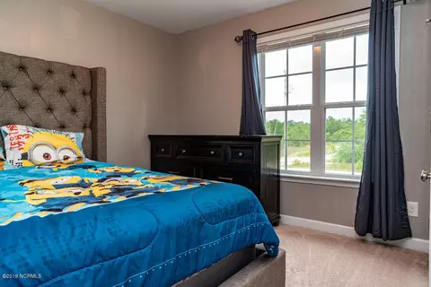 117 Blueberry Fields Rd, Maple Hill, NC 28454 photo 21