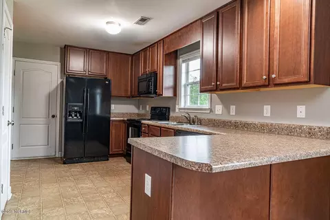117 Blueberry Fields Rd, Maple Hill, NC 28454 photo 10