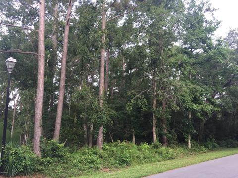712 Saw Grass Rd, Hampstead, NC 28443 photo 1