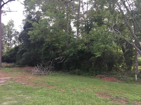 712 Saw Grass Rd, Hampstead, NC 28443 photo 3