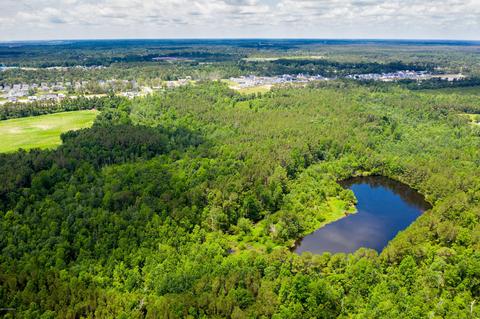 17 Hwy Off, Hampstead, NC 28443 photo 7
