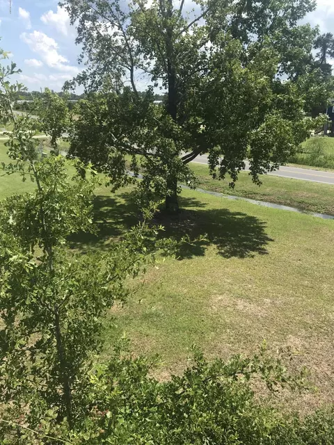 1201 Whichards Beach Rd, Chocowinity, NC 27817 photo 21