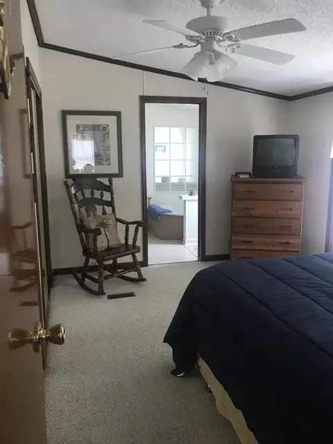 1201 Whichards Beach Rd, Chocowinity, NC 27817 photo 11