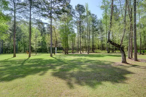 89 Long Creek Loop Rd, Rocky Point, NC 28457 photo 28