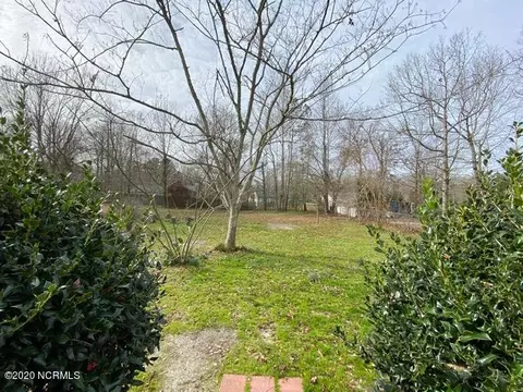 312 Eider Loop, Jacksonville, NC 28540 photo 20
