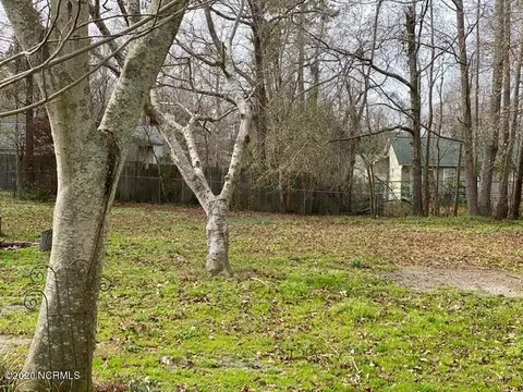 312 Eider Loop, Jacksonville, NC 28540 photo 25