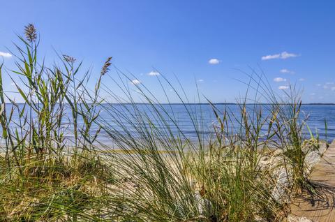 80 Queen Anne Dr, Bath, NC 27808 photo 39