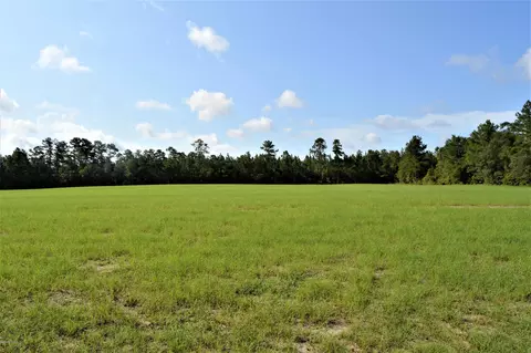 21591 Nc Highway 210 E, Ivanhoe, NC 28447 photo 15