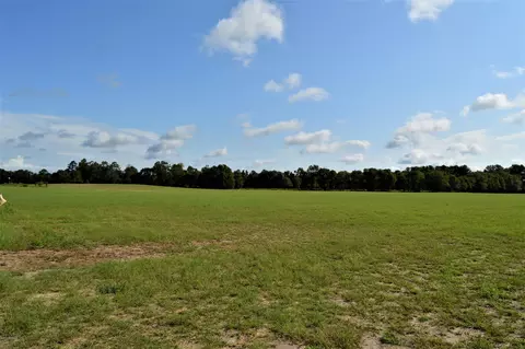21591 Nc Highway 210 E, Ivanhoe, NC 28447 photo 16