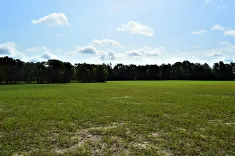 21591 Nc Highway 210 E, Ivanhoe, NC 28447 photo 11