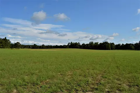 21591 Nc Highway 210 E, Ivanhoe, NC 28447 photo 14